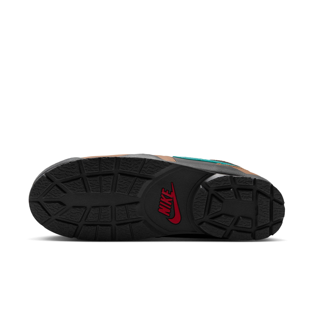 Nike Baltoro QS