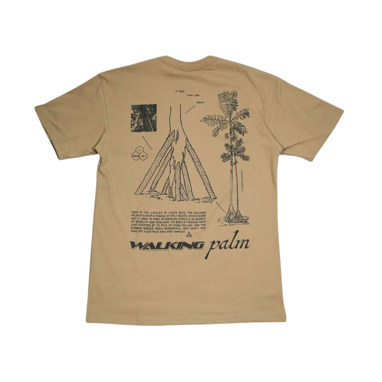 ★Nike★ ACG Walking Tree Dry Fit T-Shirt M Parachute Beige Nike ACG 