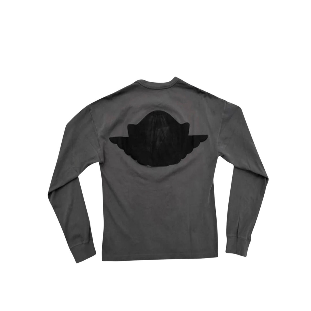 Jordan MJ WINGS LS TEE (River Rock)